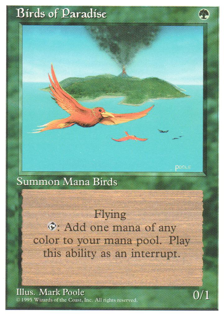 Birds of Paradise